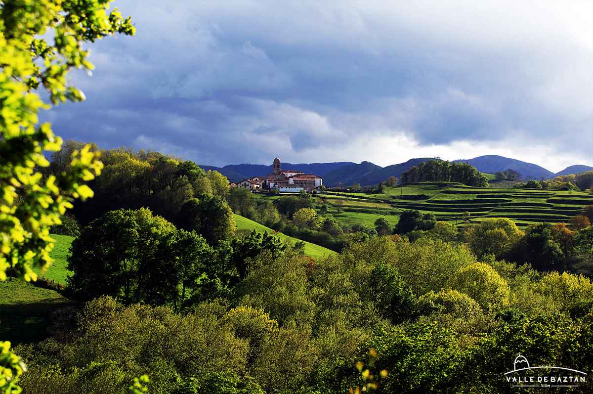 Ziga primavera Ziga primavera